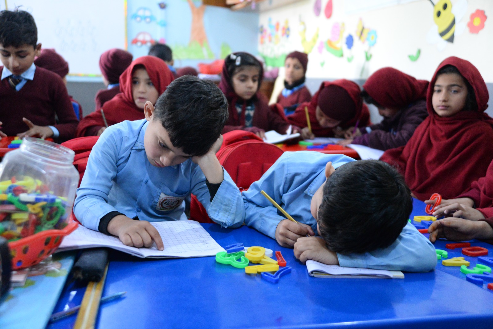 Special Education Program